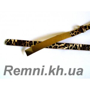 Line tigr belt